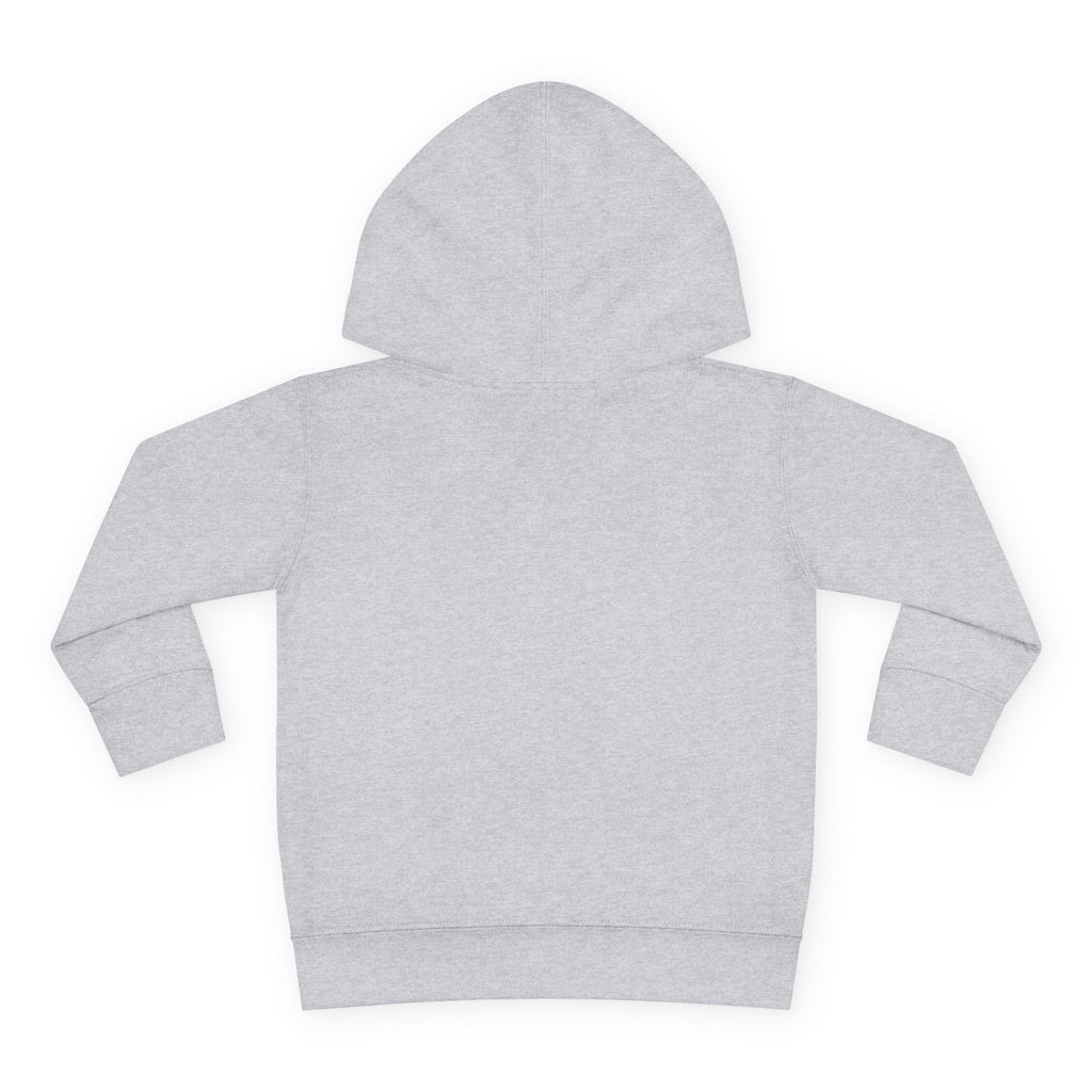 Toddler Hoodie "A Little Dirt Never Hurt" Pullover