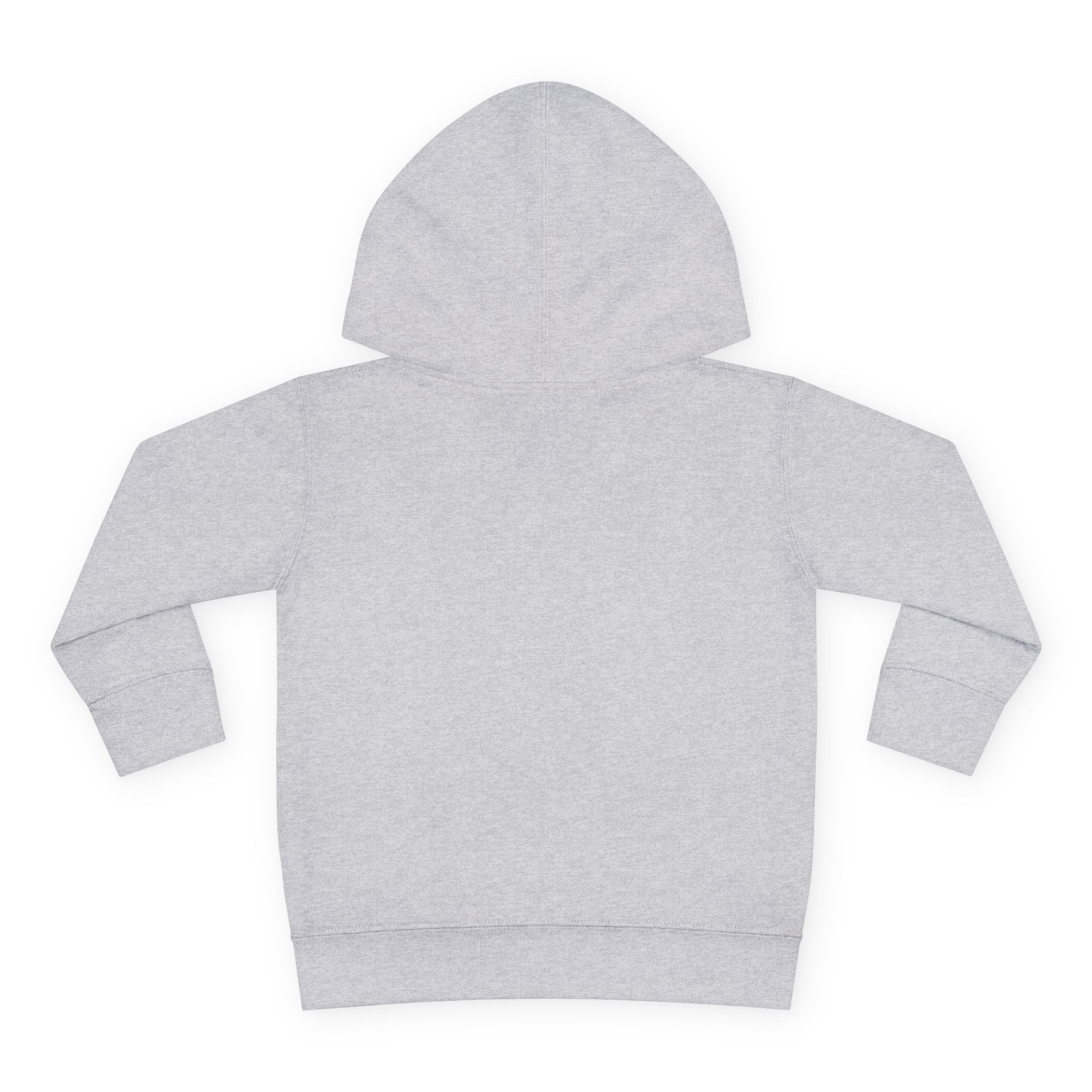 Toddler Hoodie "A Little Dirt Never Hurt" Pullover