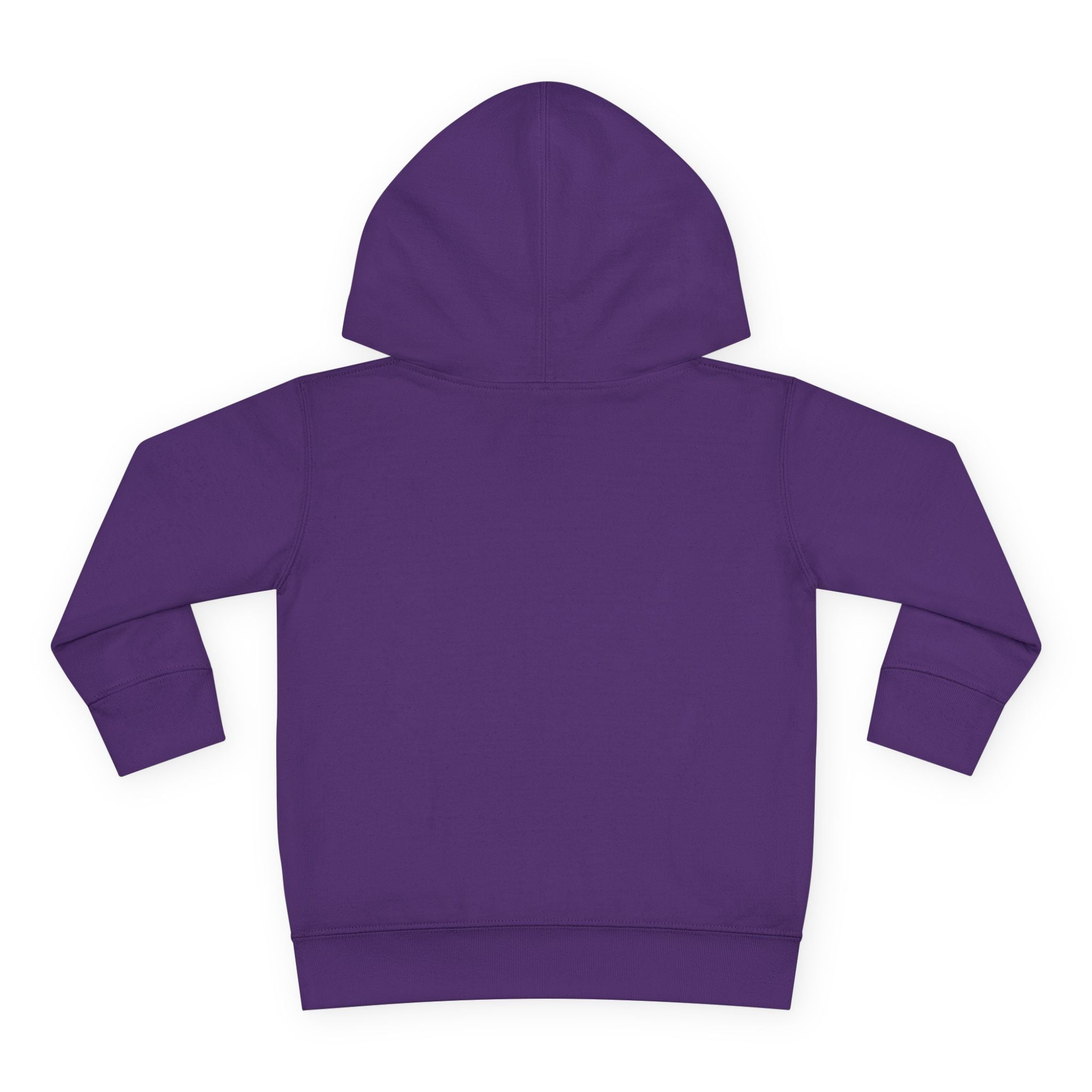 Toddler Hoodie — 'Be Kind to All Kinds' Colorful Butterfly Pullover