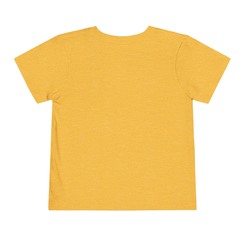 Toddler Tee — "Pretty Fly for a Little Guy" Checkered Vintage Graphic
