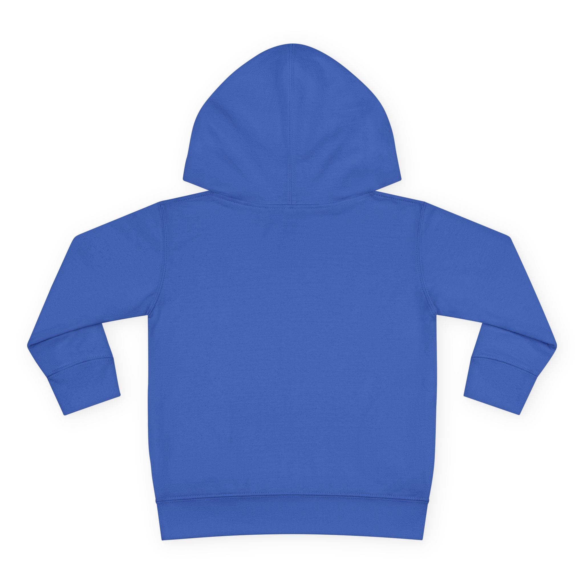 Toddler Hoodie "A Little Dirt Never Hurt" Pullover