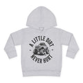 Toddler Hoodie "A Little Dirt Never Hurt" Pullover