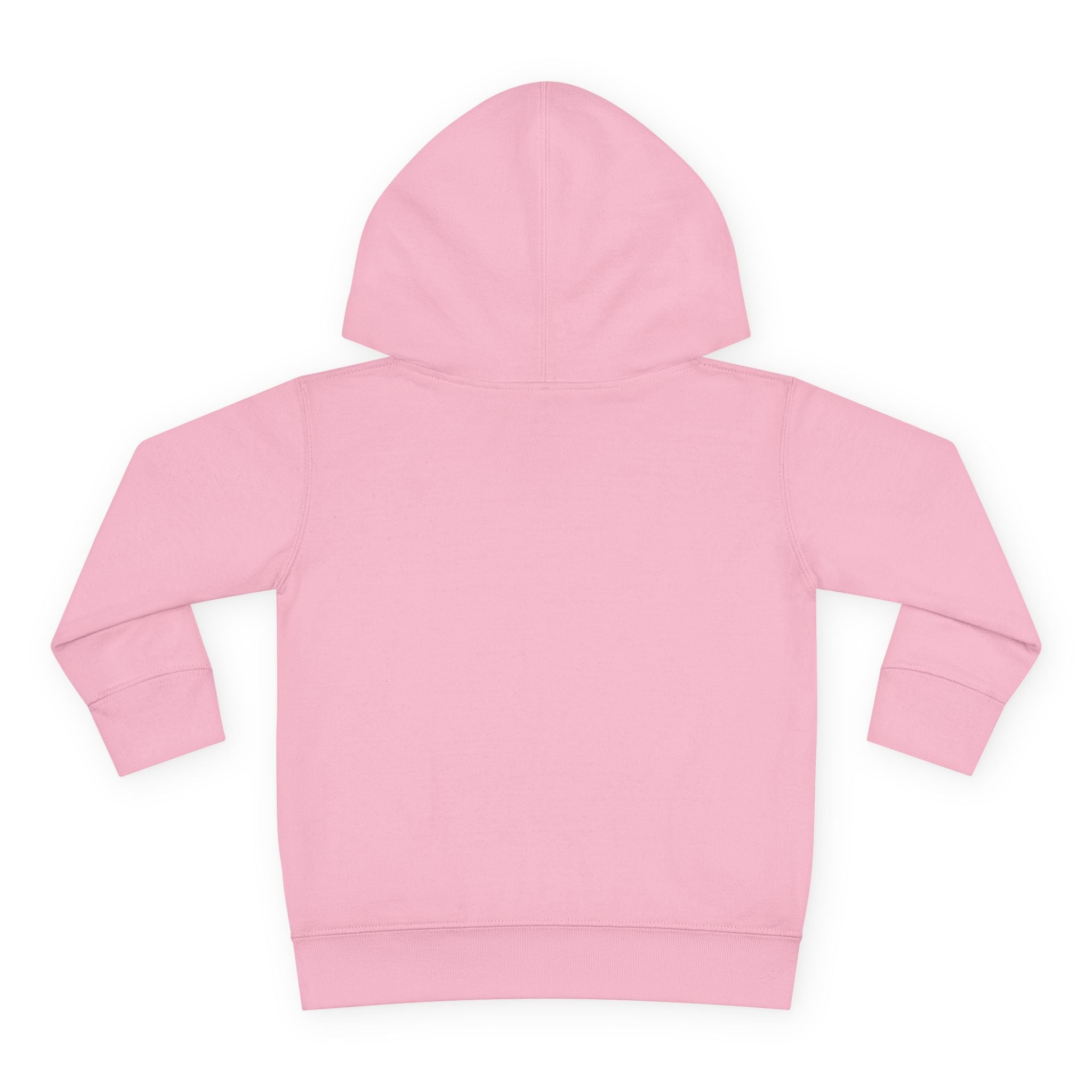 Toddler Hoodie "A Little Dirt Never Hurt" Pullover