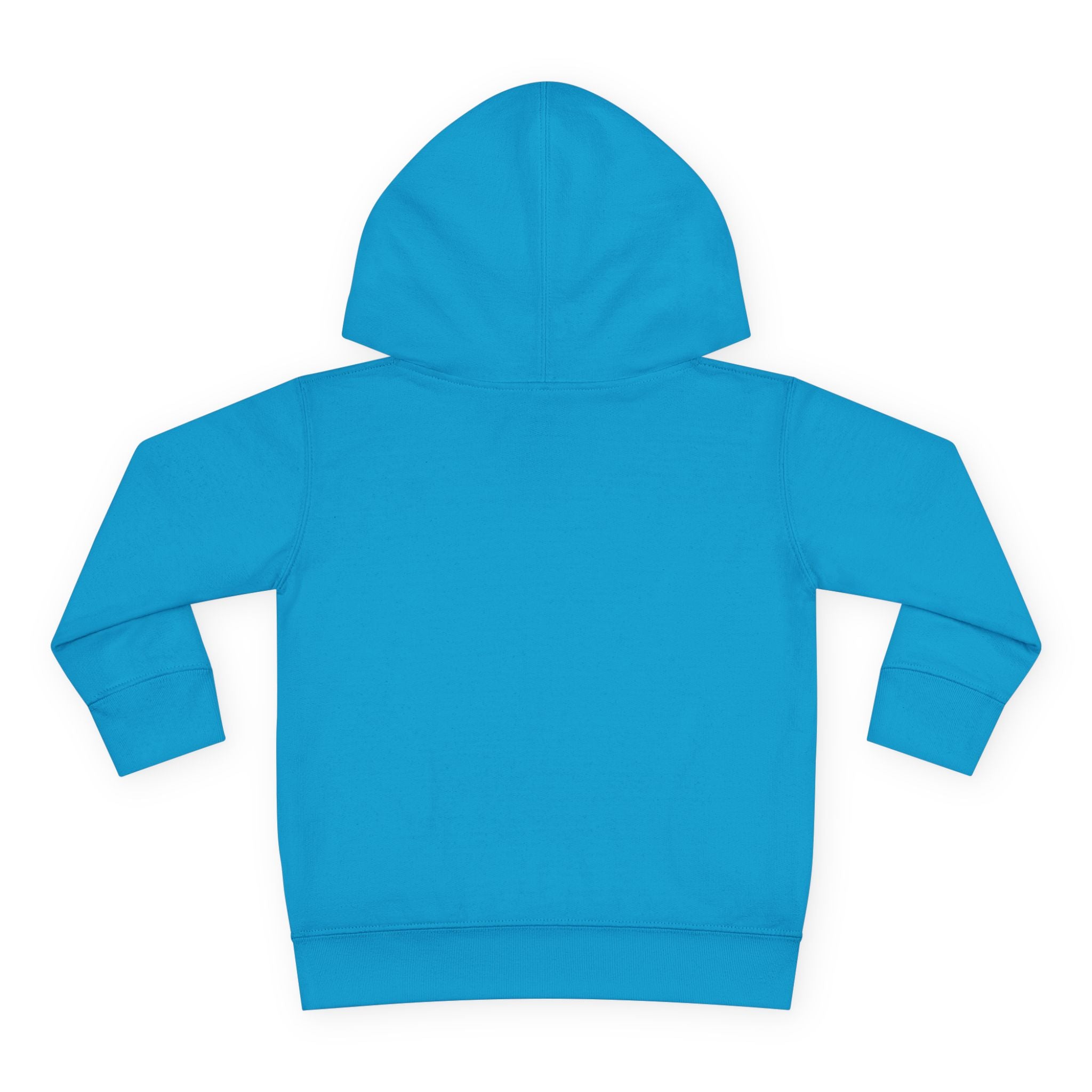 Toddler Hoodie "A Little Dirt Never Hurt" Pullover