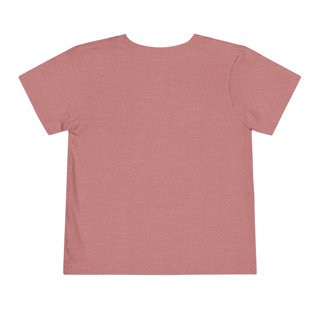 Toddler Tee — "Pretty Fly for a Little Guy" Checkered Vintage Graphic