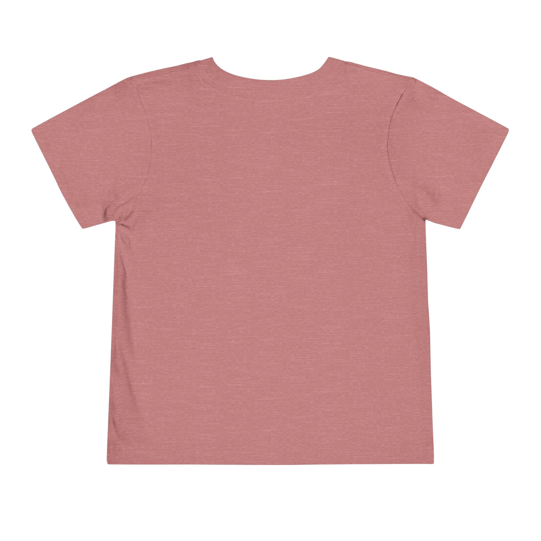 Toddler Tee — "Pretty Fly for a Little Guy" Checkered Vintage Graphic
