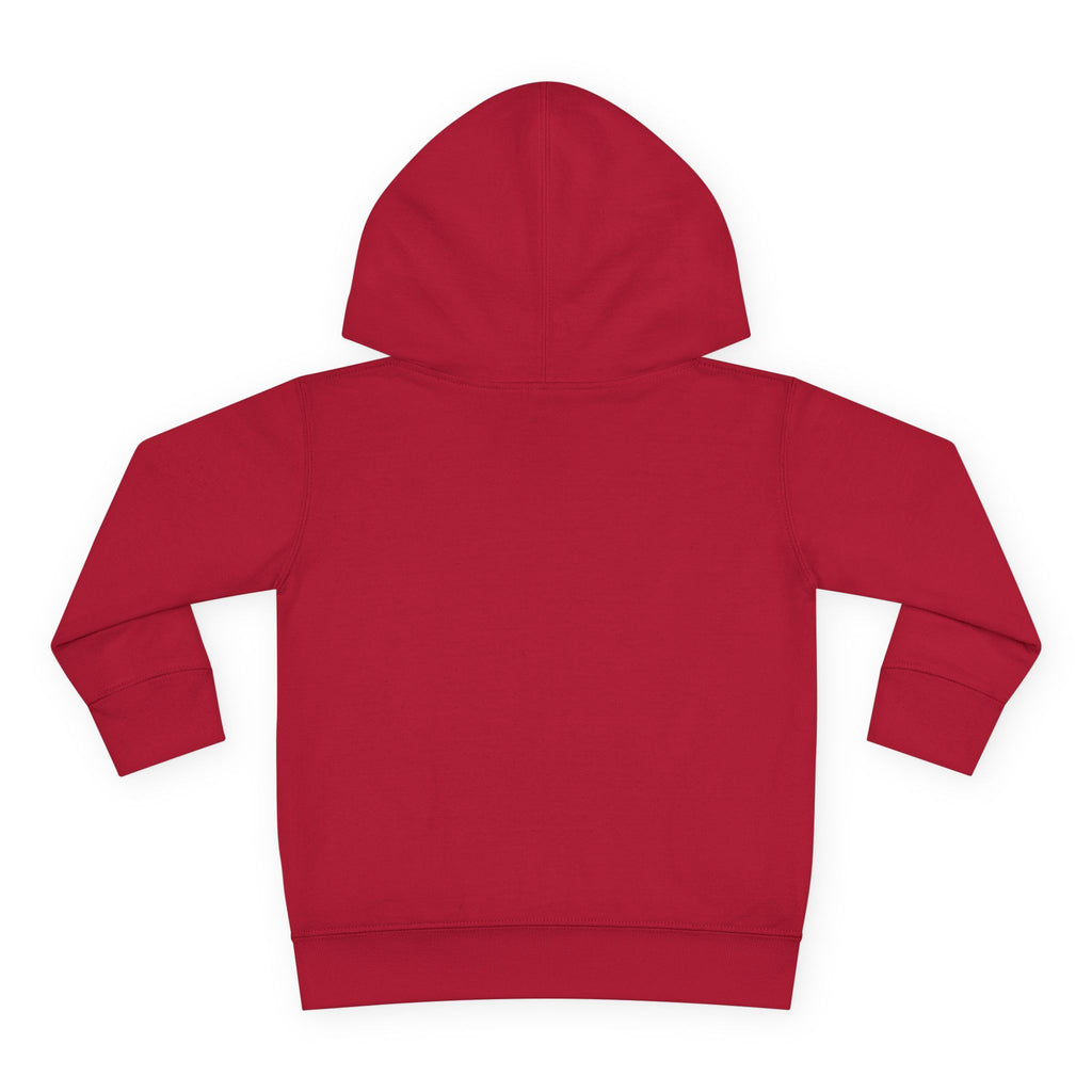 Toddler Hoodie — 'Be Kind to All Kinds' Colorful Butterfly Pullover