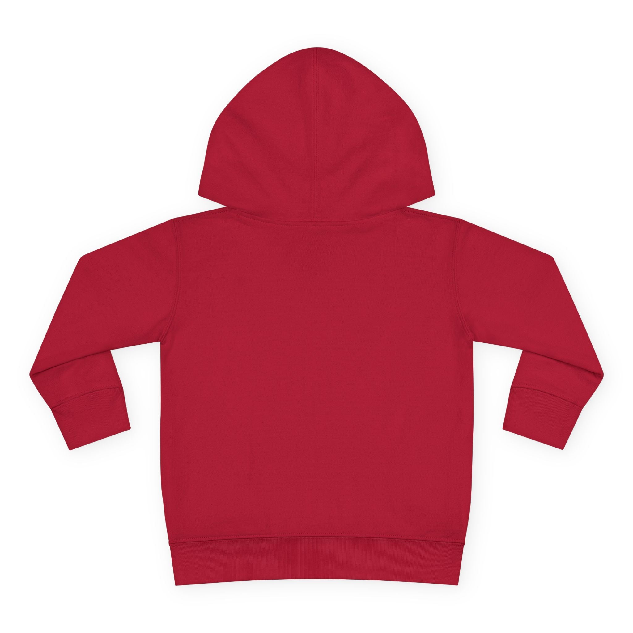 Toddler Hoodie — 'Be Kind to All Kinds' Colorful Butterfly Pullover